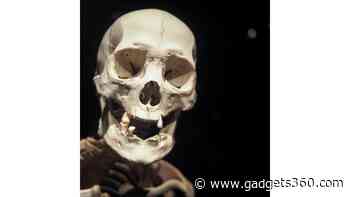 Homo Juluensis Discovered: A New Chapter in Middle Pleistocene Human Evolution