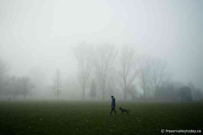 Dense fog from high-pressure system creates near-zero visibility in Vancouver area