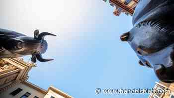 Dax über 20.000: Diese sieben Grafiken zeigen, wie es um den deutschen Leitindex wirklich steht