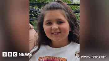 Schoolgirl, 8, killed 'trying to save mother from attack'