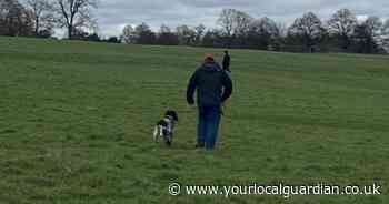 Search for owner after fatal dog attack in Richmond Park