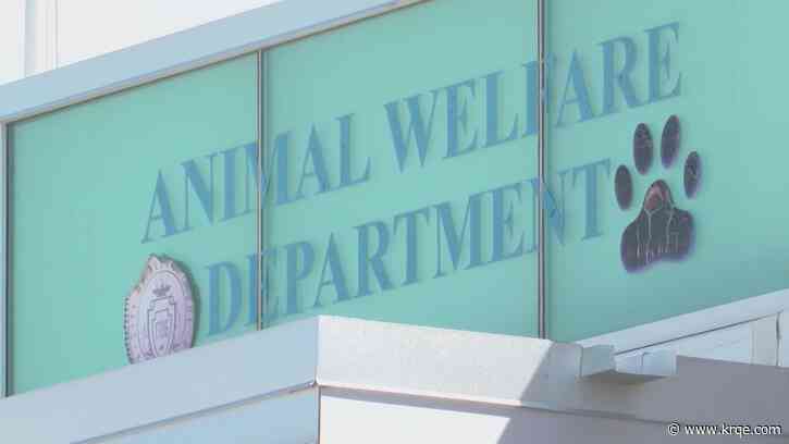 Pet adoption center at Coronado Mall to close as Animal Welfare Department transitions to mobile events