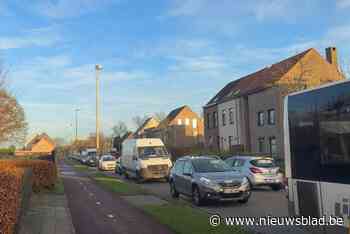 Asfalteringswerken op N114 zorgen voor lange files richting oprit van A12: “Het is hier een ramp”