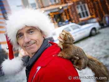 Stittsville family ending five years of super-elaborate holiday displays