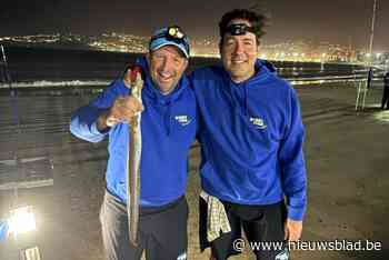 Wommelgemse hengelsporters winnen onverwacht groot toernooi strandvissen in Marokko: “Die grote zeepaling heeft het verschil gemaakt”