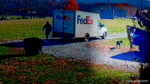 Family seeks answers after dog run over by FedEx truck