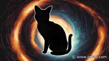 Are planet-killing black holes hiding inside your cat?