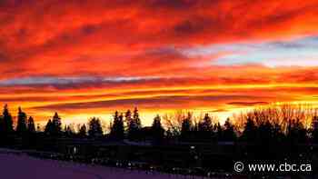Warm chinook weather arrives in Calgary and could stick around for more than a week
