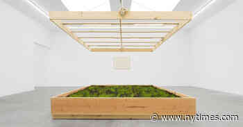 A Los Angeles Gallery Brings Bold Art, and Vision, to Miami Beach