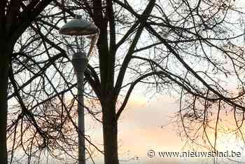 Boom gaat straatlantaarns dimmen in plaats van ze volledig uit te zetten: “Zuiniger en beter, maar nog steeds veilig gevoel”