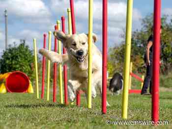 3 Moves Leaders Can Make to Improve Marketing Agility