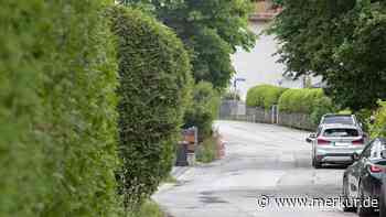 Heckenstreit endet im Dornenbusch