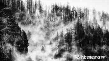 Black and White Photography: Tips and Techniques