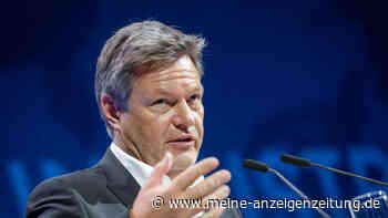 Kommt jetzt das Aus? Subventionen für Habecks Klimapläne stehen auf der Kippe