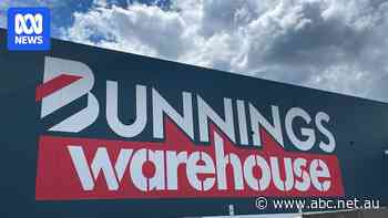 Bunnings probes potential biosecurity issue after rice plant apparently found in imported broom