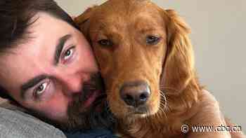 Dog believed to belong to missing B.C. man found alive after 6 weeks