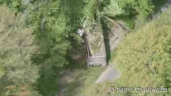 Crown pushes for 6-year sentence for supervisor convicted in fatal crash case