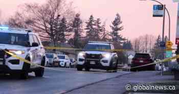 Two teens hospitalized in early morning Aldergrove stabbings