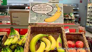 Now woke scientists say we should label bananas as 'sad' to slash food waste