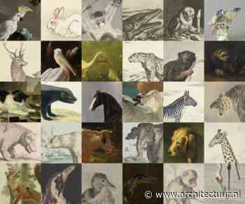 Rijksmuseum lanceert Collectie Online