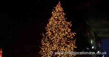 Christmas starts with the tree in Trafalgar Square!