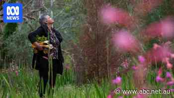 New research reveals the impacts of FIFO life on mental health