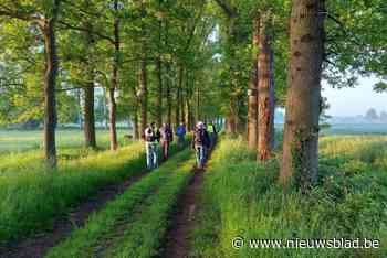 Sinterklaaswandeling leidt door groene omgeving