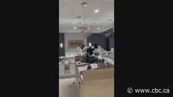 'Brazen' smash-and-grab robbery at Richmond Hill jewelry store caught on video