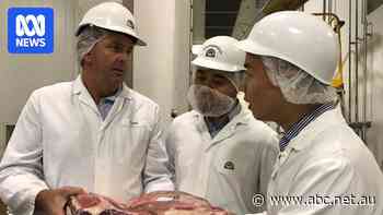 Meatworks locked out of China says it will take months to supply beef again as trade ban lifts
