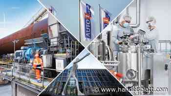 Insiderbarometer: Bei welchen Aktien Insider Chancen sehen und welche sie für teuer halten