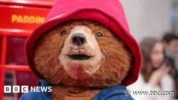 Acting in Paddington in Peru 'was really cool'