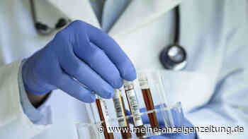 Revolution in der Alzheimer-Erkennung? Bluttest könnte Diagnose völlig erneuern