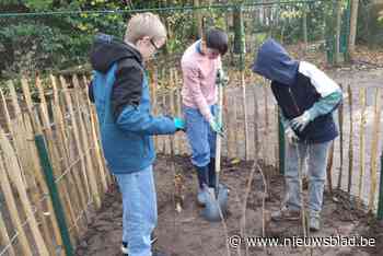 Basisschool 7-Sprong heeft Rotary-bosjes:  “Kinderen steken zelf de handen uit de mouwen”