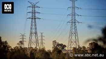 Judge throws out Queensland energy class action