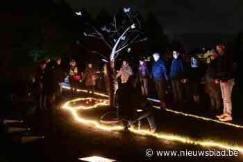Wereldlichtjesdag rond Vlinderboom