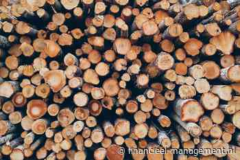 Ontbossingswet: extra uitstel (en afstel?) voor kleinbedrijf