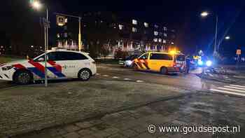 Fietser geschept op oversteekplaats Burgemeester van Reenensingel