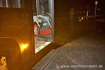 Umgestürzter Telefonmast sorgt in Bödexen für Feuerwehreinsatz