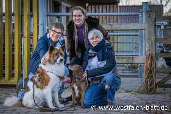 „Trost auf vier Pfoten“ für Bielefeld in Gefahr