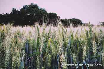 New Recommended Lists includes over 40 new varieties