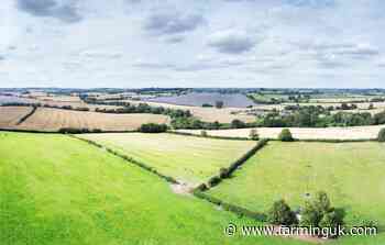 Tenant farm sector in 'stasis' as government urged to do more