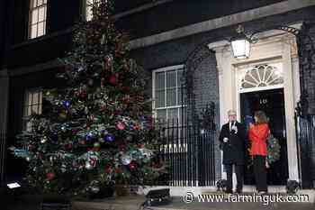 Downing Street sources Christmas tree from Welsh family farm