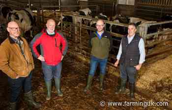 Project seeks to turn cow muck into carbon capture fertiliser 'of the future'