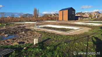 De eerste van Zes Florijnen staat