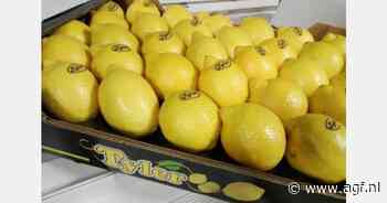 "Veel Europese retailers geven de voorkeur aan Spaanse citroenen, ook al kosten ze een paar cent meer"