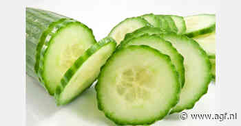 Salmonellabesmetting Mexicaanse komkommers in VS en Canada