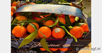 Hoge prijzen voor goede maten citrus in Italië