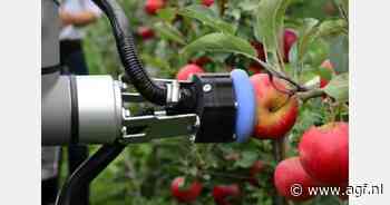 Test met Munckhof-plukrobot op Proeftuin Randwijk