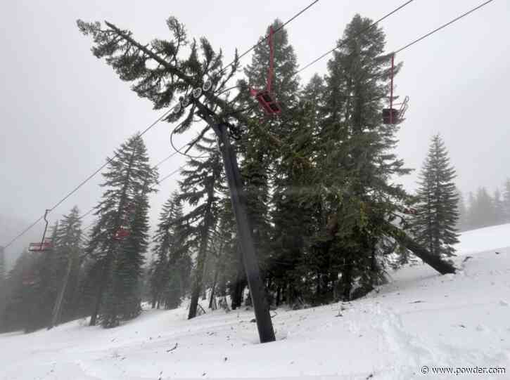 Tree Falls on Chairlift at Oregon Ski Area, Causing Delay