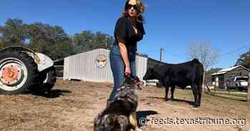 Texas’ push to meet soaring power demand with nuclear energy could spark uranium mining revival